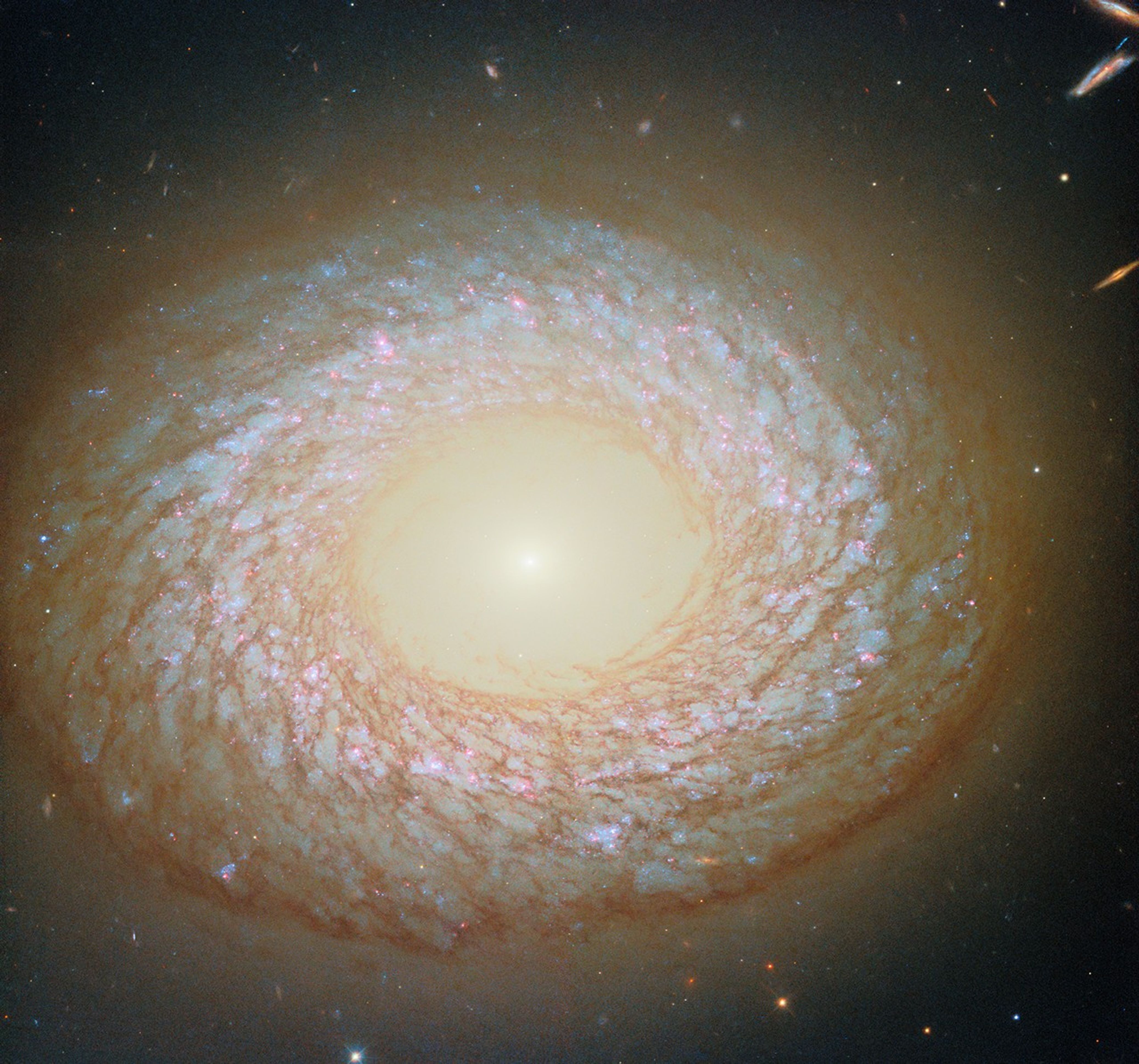 Galáxia NGC 2775 intriga astrônomos com aparência híbrida captada pelo Hubble